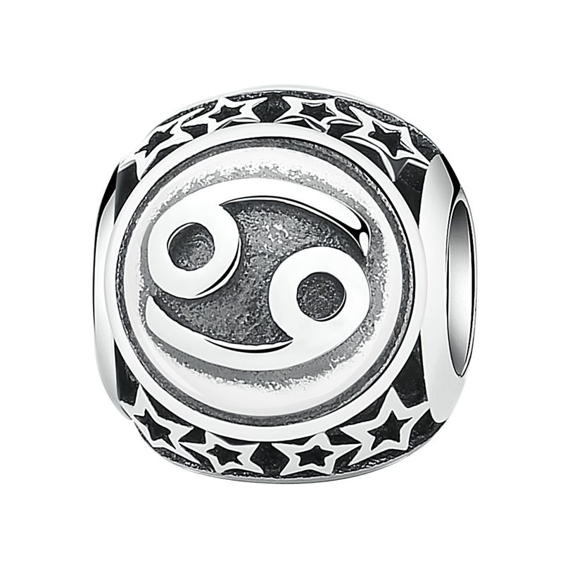 D842 RAK ZODIAK CHARMS MODUŁOWA BRANSOLETKA BEADS