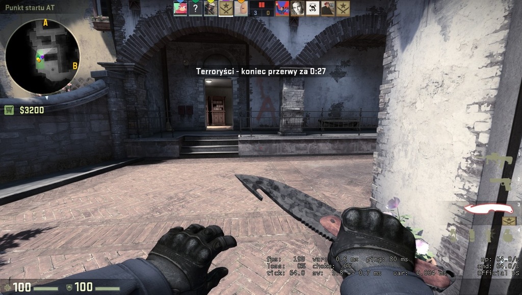 Nóż z Hakiem Śniedź| FT KOSA CS GO GUT KNIFE KNIVE