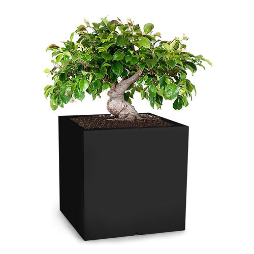Czarna kwadratowa donica ogrodowa Pixel Pot 50 cm