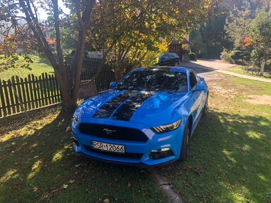 Sprzedam FORDA Mustanga 2017 rok
