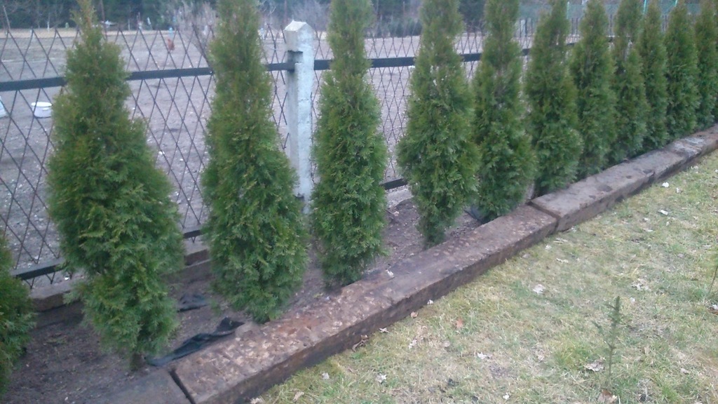 Podkłady kolejowe drewniane