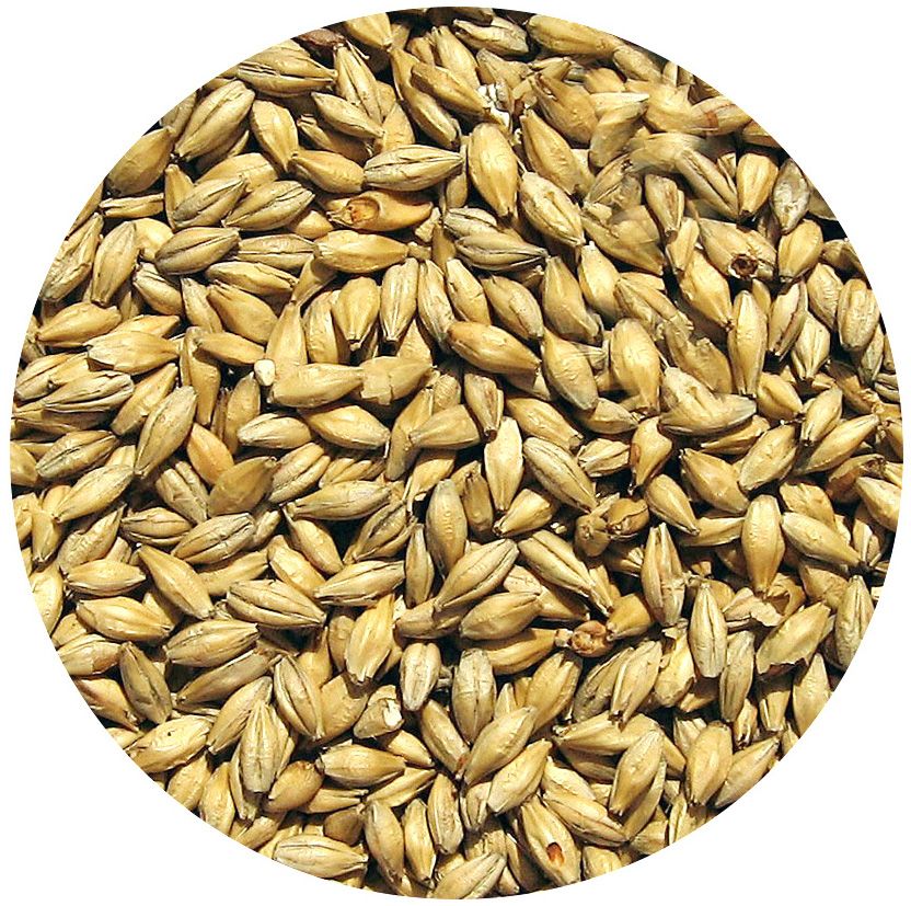 Słód piwo SAHTI 1 kg Viking-Malt Strzegom