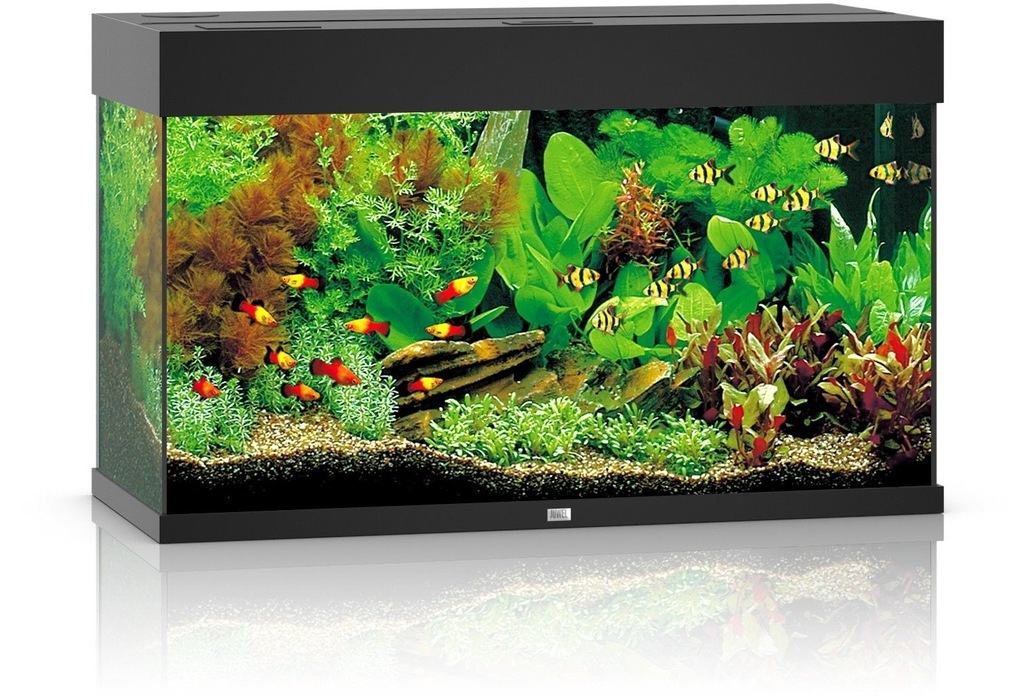 Akwarium Rio 125 T5 czarny Juwel - PLANTA GARDEN