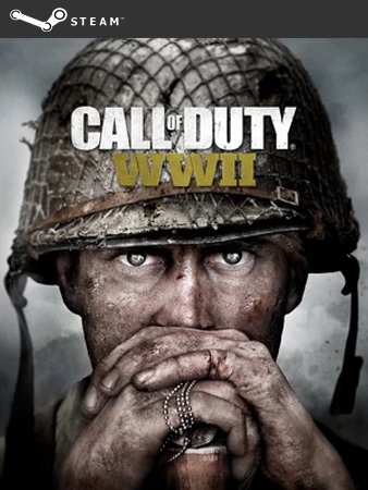 CALL OF DUTY COD WORLD WAR II 2 WWII WW2 PL STEAM - 7033175824 ...