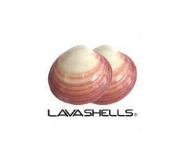 Lava Shells zestaw muszle do masażu, wkłady