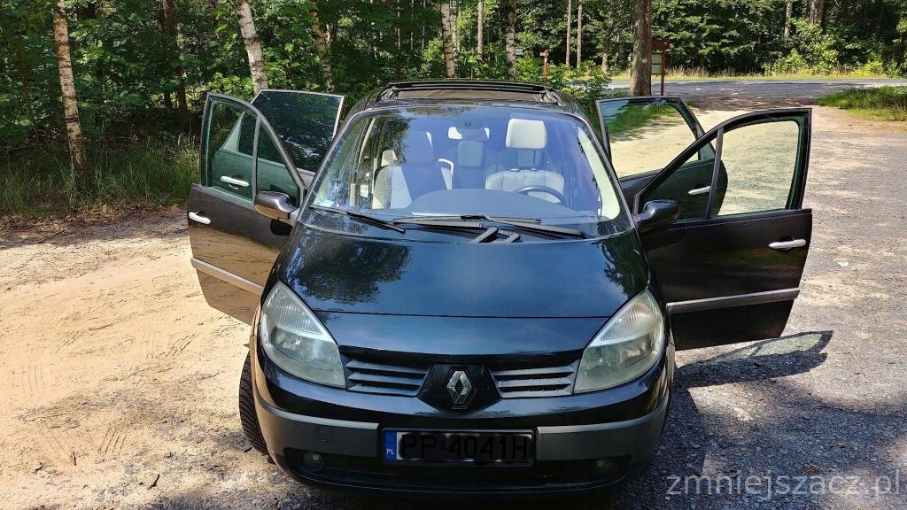 Renault Scenic II 1,9 DCI