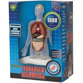 Interaktywny organizm człowieka 3D, zabawka 