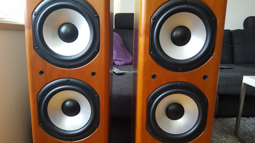 acoustic energy aesprit 309