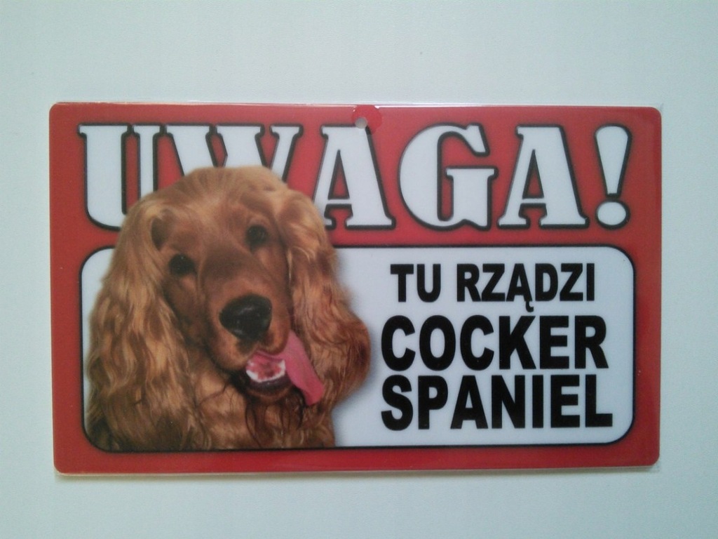 Tabliczka ostrzegawcza TU RZĄDZI COCKER SPANIEL
