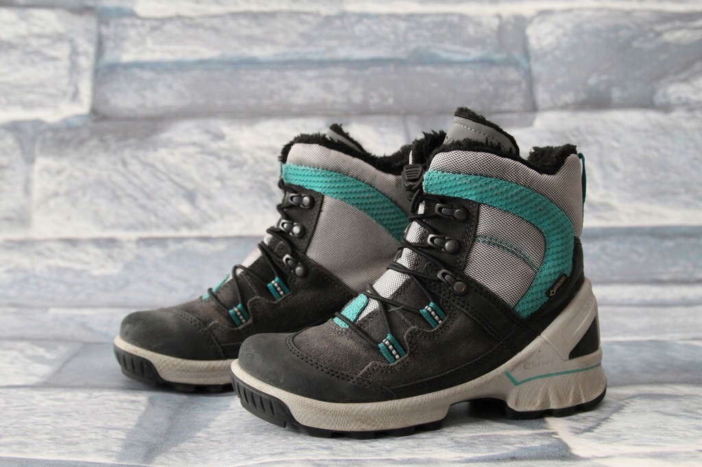 ecco phorene gore tex