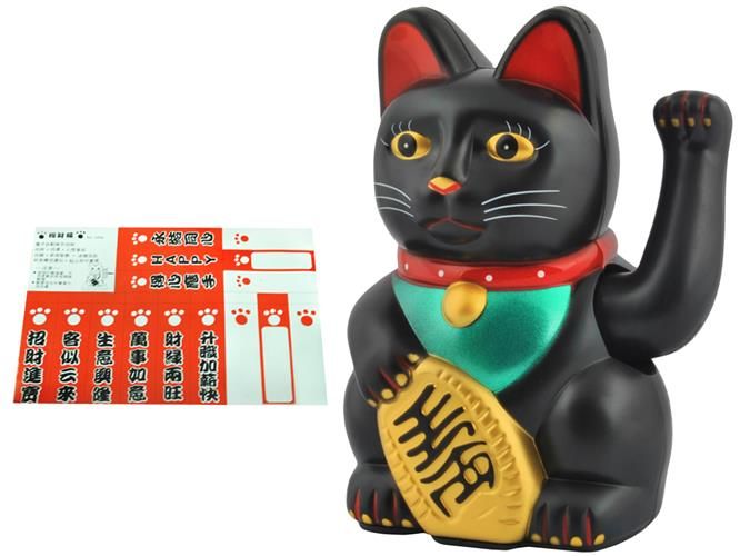 Kot chiński - czarny + JAKOŚĆ