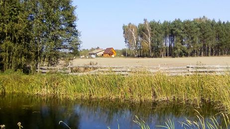 Osada Sęk-Toruń, jezioro Józefowo,Drwęca,Las,165ty
