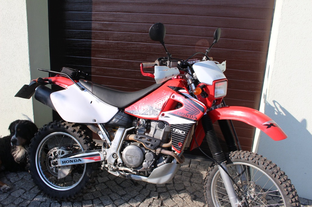 HONDA XR650 R DALLARA