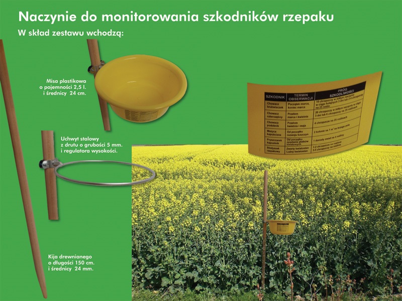 Żółte naczynie  na szkodniki rzepaku ABOTEK