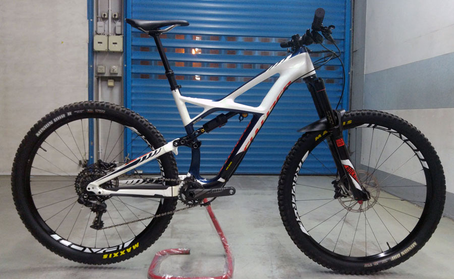  Rower Specialized Enduro Expert Carbon 29 