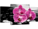 Часы настенные Розовая орхидея 80х40 SPA Flowers