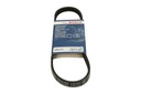 BELT WEDGE MULTI-RIBBED photo 2 - milautoparts-fr.ukrlive.com