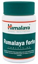 HIMALAYA RUMALAYA FORTE 60 tab Dátum spotreby najmenej šesť mesiacov od dátumu nákupu