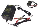 AUTOMATIC CHARGER FOR BATTERY 6V 0,5A photo 4 - milautoparts-fr.ukrlive.com