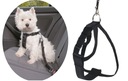 TRIXIE Szelki samochodowe uprząż pas bezpieczeństwa do auta dla psa XS Wielkość psa mały pies