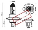 LAMP MOTORCYCLE OSRAM 12V HS1 35/ 35W P43T photo 2 - milautoparts-fr.ukrlive.com