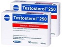 Megabol Testosterol 250 30 kapsúl Počet porcií v balení 30