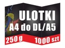 Листовки А4 в сложенном виде мелом DL 3xDL 250г 1000 шт.