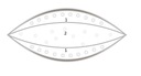 Vankúš AMZ Outlast 3-komorové husacie páperie 60x60 Dĺžka (cm) 60
