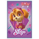 Одеяло Paw Patrol 100х150 Одеяло SKYE 553