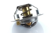 Термостат макет, системы охлаждения polmo v836015156 case - фото