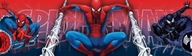 Bord remienok border Spider-Man spiderman dekoratívny