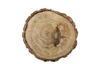 Drevené plátky dub brúsený 12-14cm Náplasť