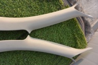 cover side SLUPKA front AUDI TT 8J JASNE PRAW