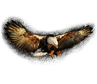 Наклейка на авто машина мотоцикл latajacy orzel крылья szpony eagle uv