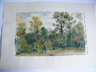 AKWARELA KODEŃ NAD BUGIEM 1982 ROK