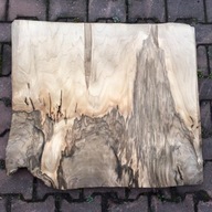 okleina naturalna / fornir / orzech włoski