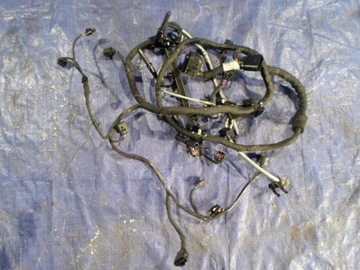 фото thumb №1, Vw audi seat 2.0 tdi джгут двигуна 03l972619bg