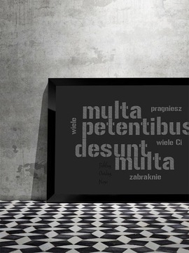 Картинка Multa petentibus desunt multa 50x70 Овидий