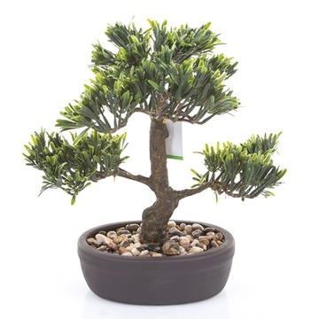 искусственное дерево BONSAI Podocarpus 32 см, деревья