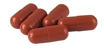 Bio 7 CHOC MAX Mocne bakterie rozruch starter oczyszczalni