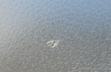 фото thumb №5, Vw polo 9n консоль панель приладів подушка безпеки водій пасажир