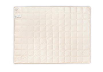 AMZ SUMMER QUILT BASIC PLUS ГУСИНЫЙ ПУХ 70% 155х200