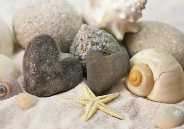 ФОТОобои BEACH SHELLS 3A FM 104x70.5 F10240