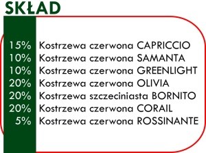 Газон WILLA Газон БАНК офис ЭЛИТА 25кг 1000м2!