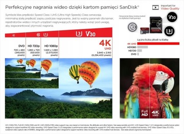 SanDisk microSDXC Extreme 256 ГБ 190/130 МБ/с A2 C10 V30 UHS-I U3