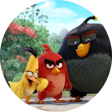 ТОРТ ТОРТ Angry Birds Птасиоры 20см круг