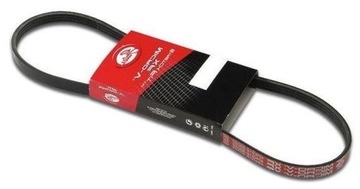 6pk1640 ford strap polyclinic micro, фото