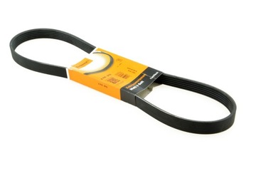 Continental 6pk976 v-belt polyclinic, фото