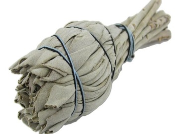 White sage salvia apiana censer bundle america, фото