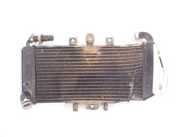 Water radiator liquids[ у] yamaha fzs 600 fazer 98 -, фото